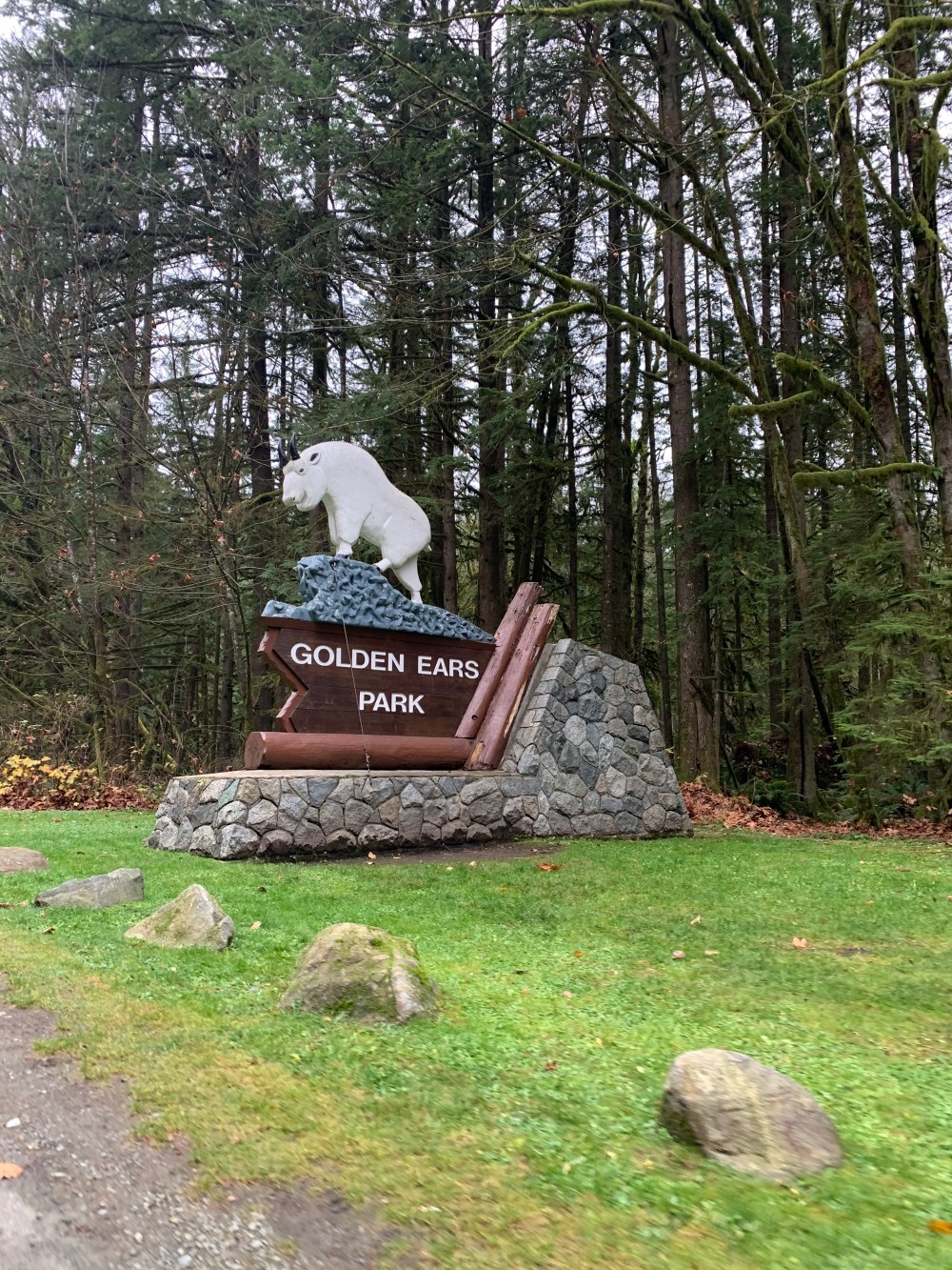 2019-11-11_11-38-22_870